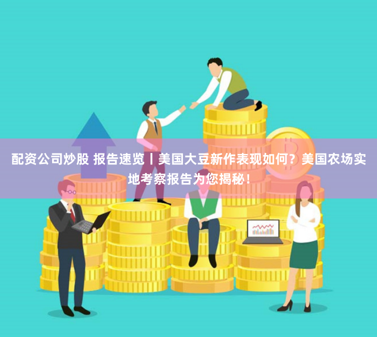 配资公司炒股 报告速览丨美国大豆新作表现如何？美国农场实地考察报告为您揭秘！