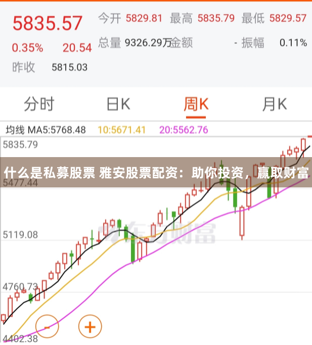 什么是私募股票 雅安股票配资:助你投资,赢取财富