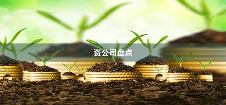 资公司盘点